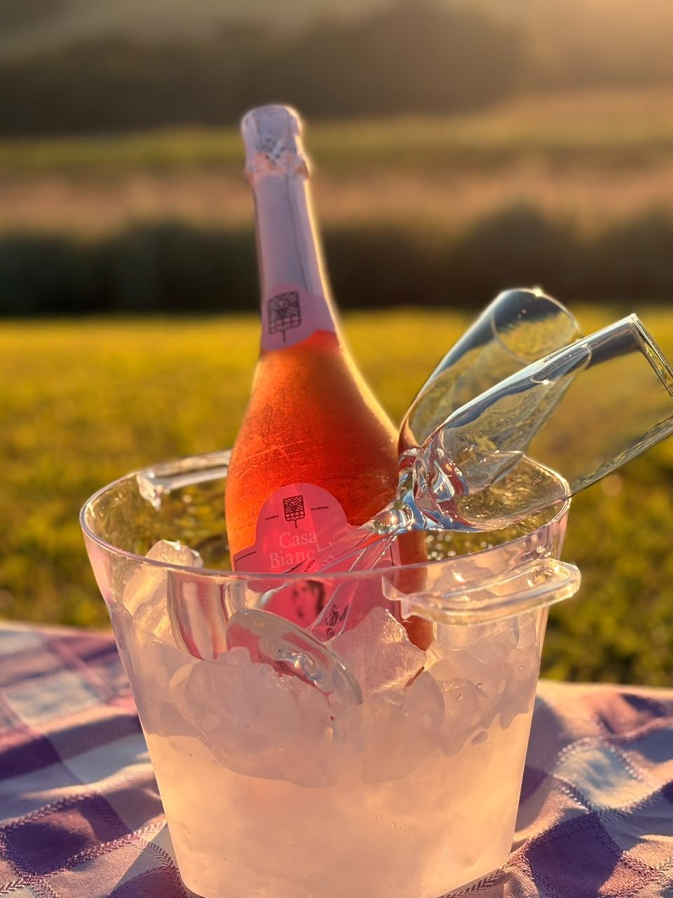 Espumante rosé no balde de gelo sobre toalha xadrez