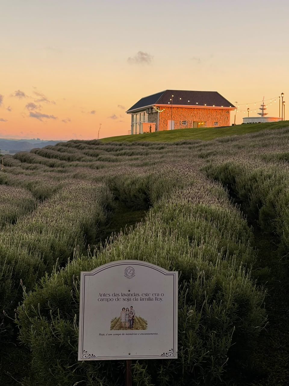 Placa no campo: Antes das lavandas, este era o campo de soja da família Roy. Hoje é um campo de memórias e encantamento.